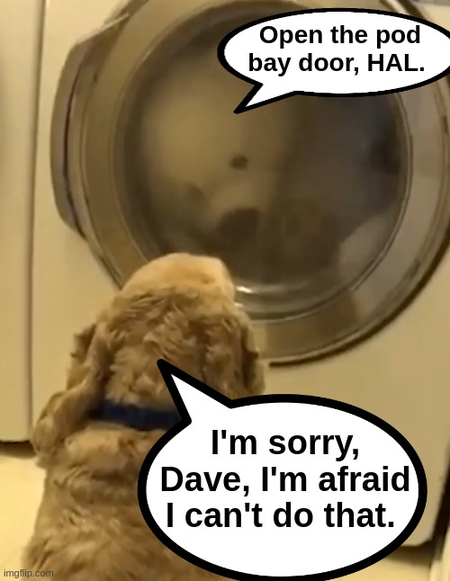 2001 | Open the pod bay door, HAL. I'm sorry, Dave, I'm afraid I can't do that. | image tagged in 2001 a space odyssey,dogs | made w/ Imgflip meme maker