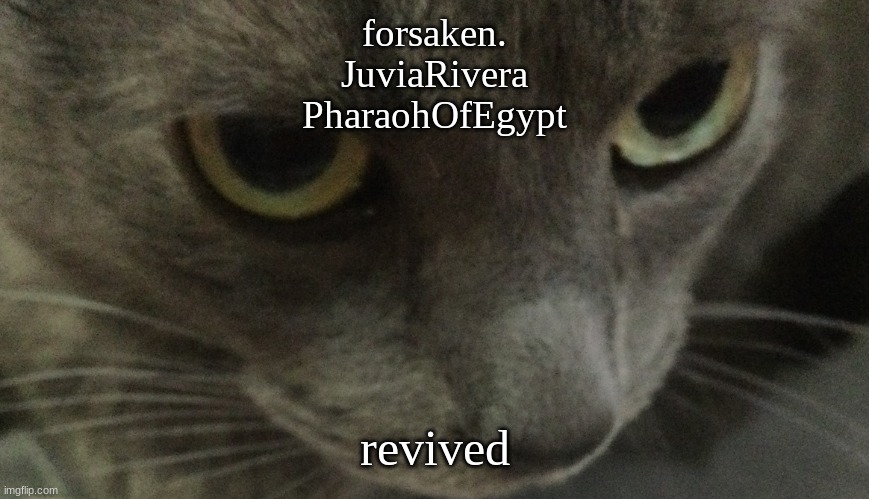 Sweetie | forsaken.
JuviaRivera
PharaohOfEgypt; revived | image tagged in sweetie | made w/ Imgflip meme maker