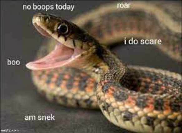 snek | image tagged in snek | made w/ Imgflip meme maker