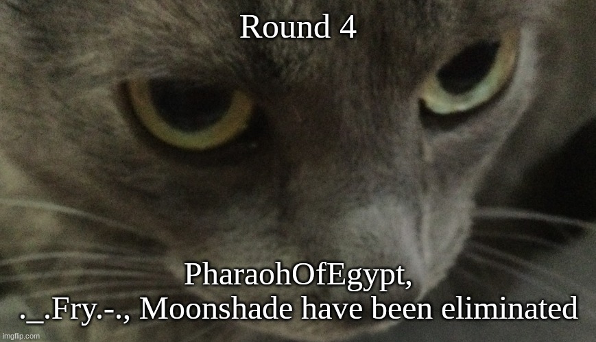 Sweetie | Round 4; PharaohOfEgypt,
._.Fry.-., Moonshade have been eliminated | image tagged in sweetie | made w/ Imgflip meme maker