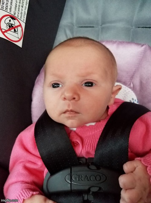 Baby Stare | image tagged in baby stare | made w/ Imgflip meme maker