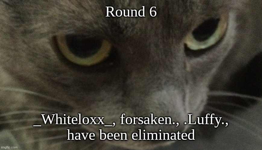 Sweetie | Round 6; _Whiteloxx_, forsaken., .Luffy.,
have been eliminated | image tagged in sweetie | made w/ Imgflip meme maker