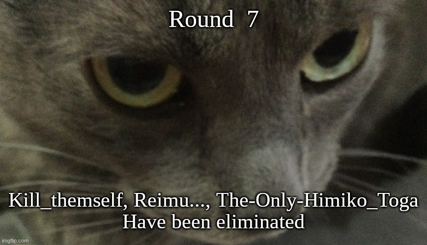 Sweetie | Round  7; Kill_themself, Reimu..., The-Only-Himiko_Toga
Have been eliminated | image tagged in sweetie | made w/ Imgflip meme maker