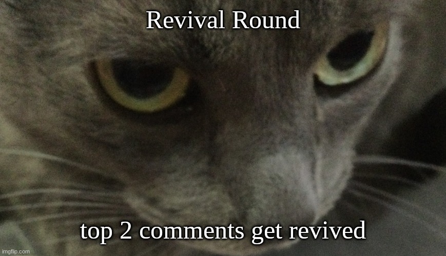 Sweetie | Revival Round; top 2 comments get revived | image tagged in sweetie | made w/ Imgflip meme maker