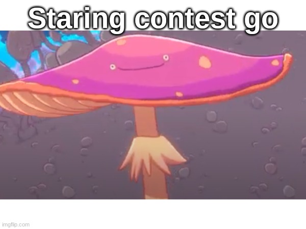 stare | Staring contest go | image tagged in stare,staring,mushroom | made w/ Imgflip meme maker