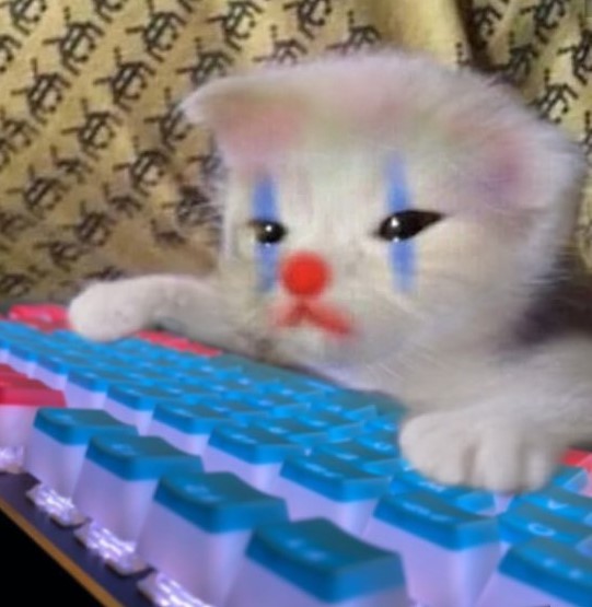 Clown cat Blank Meme Template