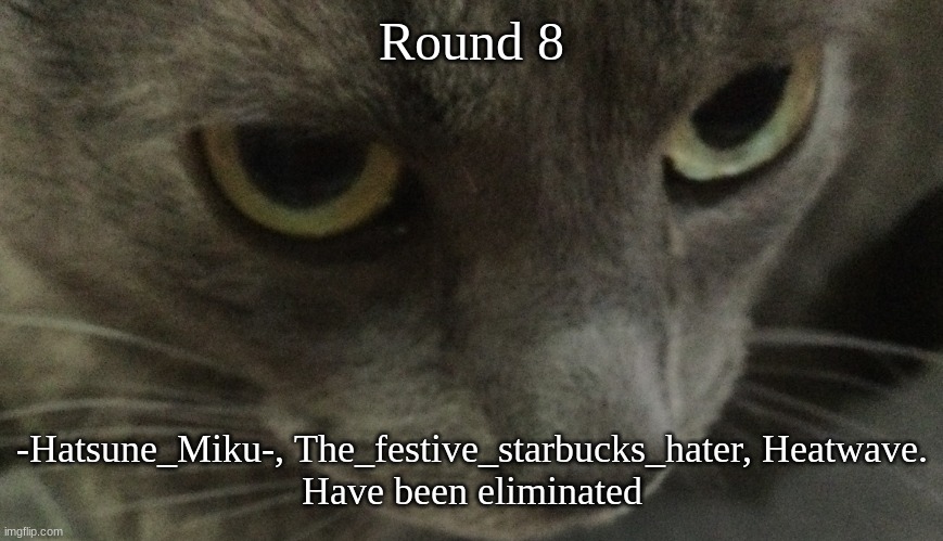 Sweetie | Round 8; -Hatsune_Miku-, The_festive_starbucks_hater, Heatwave.
Have been eliminated | image tagged in sweetie | made w/ Imgflip meme maker