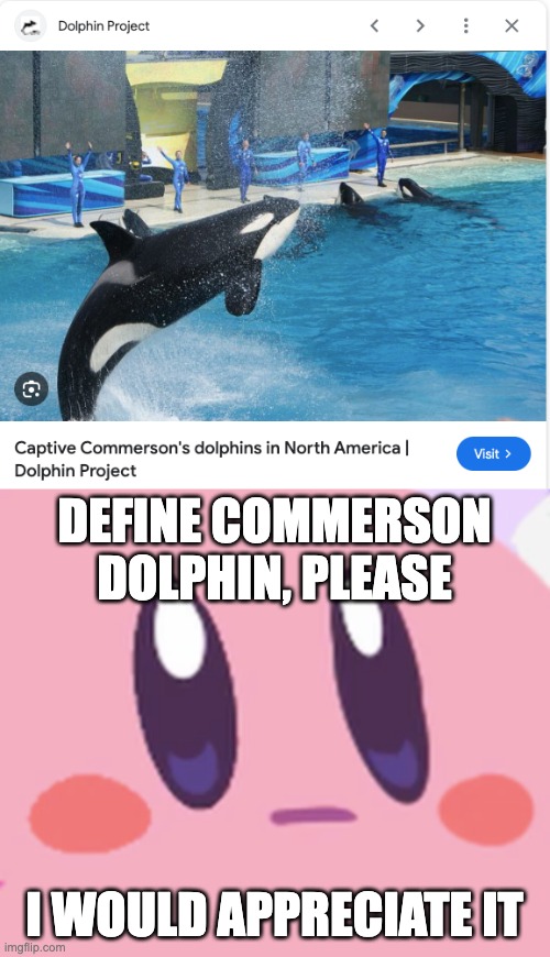 Actually, that's an orca | DEFINE COMMERSON DOLPHIN, PLEASE; I WOULD APPRECIATE IT | image tagged in blank kirby face,orca,kirby,dolphin,commerson dolphin,killer whale | made w/ Imgflip meme maker