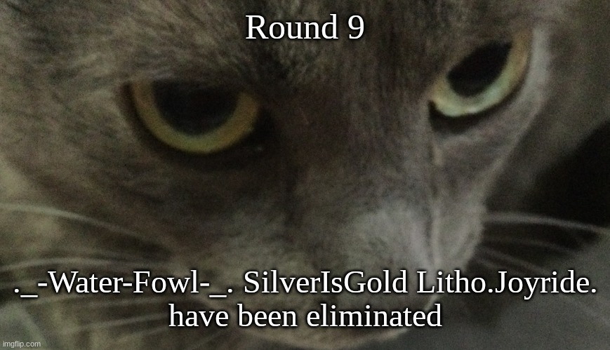 Sweetie | Round 9; ._-Water-Fowl-_. SilverIsGold Litho.Joyride.
have been eliminated | image tagged in sweetie | made w/ Imgflip meme maker