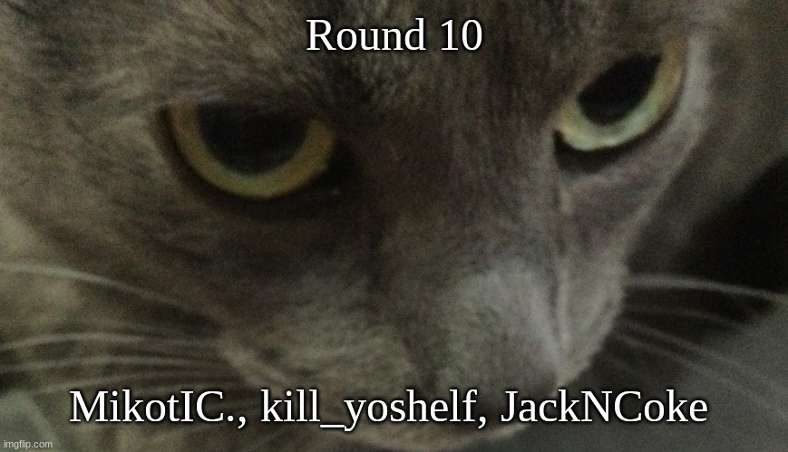 Sweetie | Round 10; MikotIC., kill_yoshelf, JackNCoke | image tagged in sweetie | made w/ Imgflip meme maker