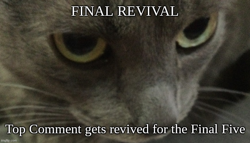 Sweetie | FINAL REVIVAL; Top Comment gets revived for the Final Five | image tagged in sweetie | made w/ Imgflip meme maker