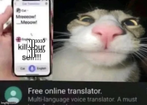 cat translation | NI****
NI**** | image tagged in cat translation | made w/ Imgflip meme maker