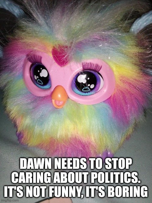 My Furby Noo-Lah agrees! | DAWN NEEDS TO STOP CARING ABOUT POLITICS.
IT'S NOT FUNNY, IT'S BORING | made w/ Imgflip meme maker