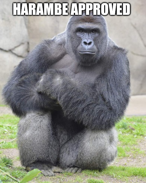 HARAMBE APPROVED | image tagged in harambe | made w/ Imgflip meme maker