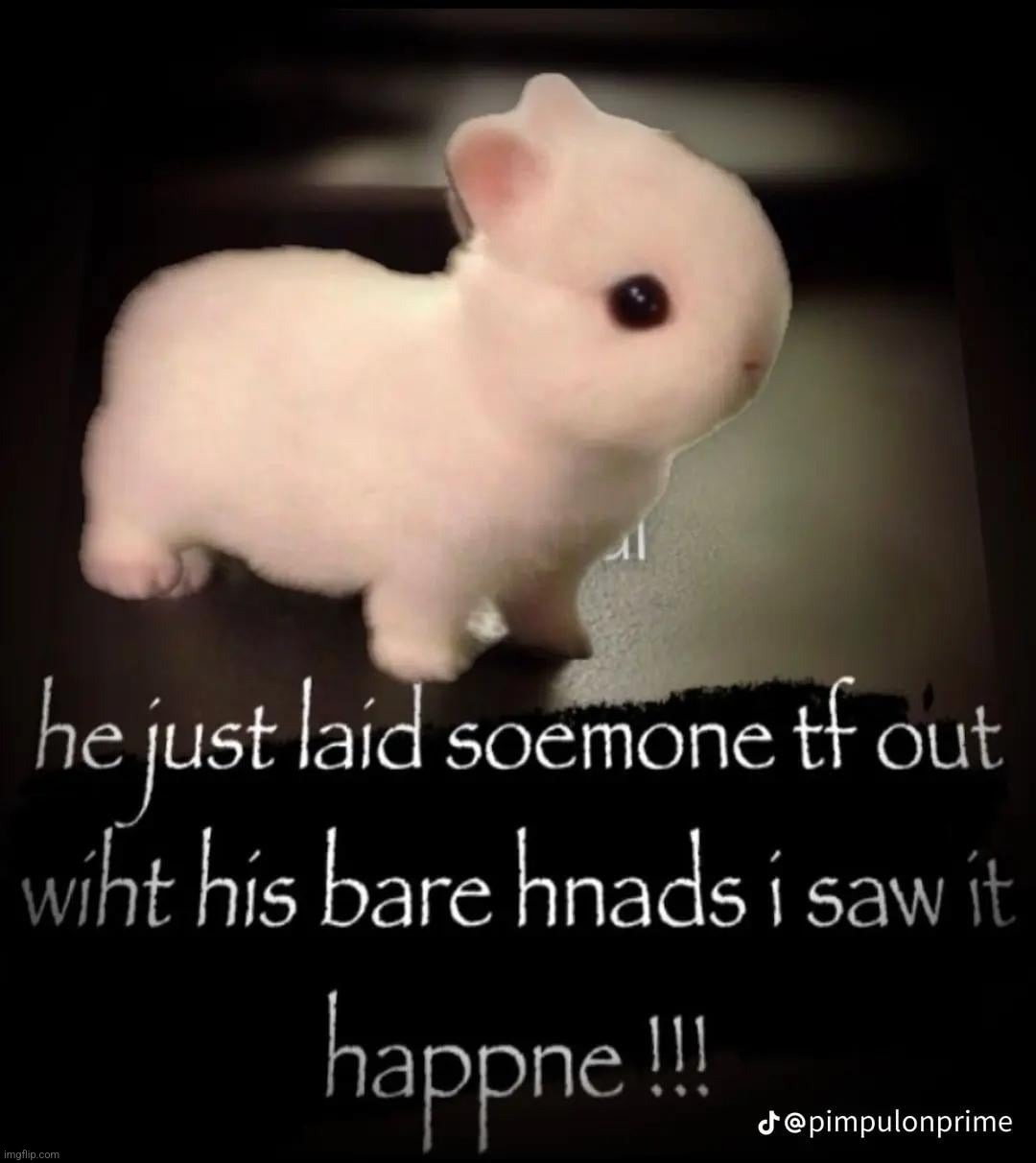 cabbage_rabbit irl | made w/ Imgflip meme maker