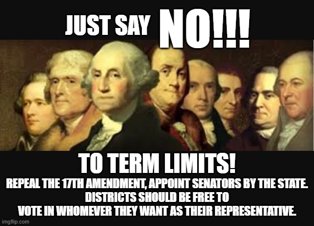 Quit trying to "fix" it, by breaking it! | NO!!! JUST SAY; TO TERM LIMITS! REPEAL THE 17TH AMENDMENT, APPOINT SENATORS BY THE STATE.
DISTRICTS SHOULD BE FREE TO VOTE IN WHOMEVER THEY WANT AS THEIR REPRESENTATIVE. | image tagged in founding fathers,term limits,constitution | made w/ Imgflip meme maker