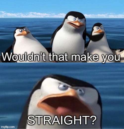 Wouldn’t that make you | STRAIGHT? | image tagged in wouldn t that make you | made w/ Imgflip meme maker