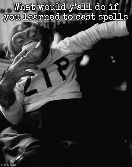 smoking monkey  | What would y’all do if you learned to cast spells | image tagged in smoking monkey,msmg | made w/ Imgflip meme maker