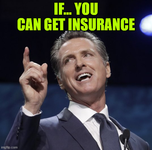 Gavin newsom | IF... YOU CAN GET INSURANCE | image tagged in gavin newsom | made w/ Imgflip meme maker