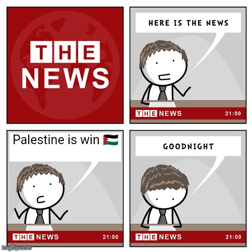 the news | Palestine is win 🇵🇸 | image tagged in the news | made w/ Imgflip meme maker