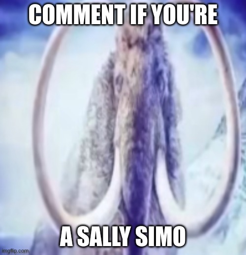 calling all SIMOS ?️?️?️?️ | COMMENT IF YOU'RE; A SALLY SIMO | image tagged in mammoth | made w/ Imgflip meme maker