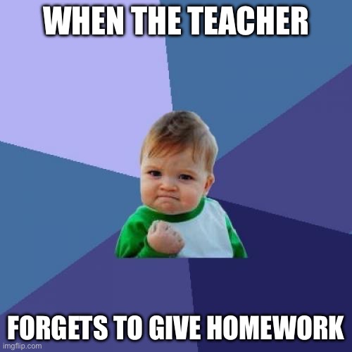 Success Kid | WHEN THE TEACHER; FORGETS TO GIVE HOMEWORK | image tagged in memes,success kid | made w/ Imgflip meme maker