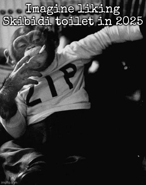 Imagine liking it in 2925 | Imagine liking Skibidi toilet in 2025 | image tagged in smoking monkey,msmg | made w/ Imgflip meme maker