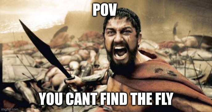 Sparta Leonidas | POV; YOU CANT FIND THE FLY | image tagged in memes,sparta leonidas | made w/ Imgflip meme maker