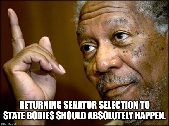 This Morgan Freeman | RETURNING SENATOR SELECTION TO STATE BODIES SHOULD ABSOLUTELY HAPPEN. | image tagged in this morgan freeman | made w/ Imgflip meme maker