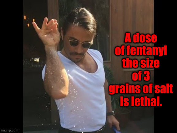 Compact For Smuggling Into Our Country & Deadly | A dose of fentanyl the size of 3 grains of salt is lethal. | image tagged in salt guy,political meme,politics,funny memes,fentanyl,cartels | made w/ Imgflip meme maker