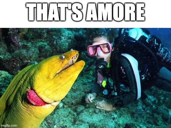 That's Amore | THAT'S AMORE | image tagged in memes | made w/ Imgflip meme maker