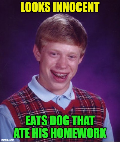 Bad Luck Brian Repurposed | LOOKS INNOCENT; EATS DOG THAT ATE HIS HOMEWORK | image tagged in memes,bad luck brian,homework | made w/ Imgflip meme maker