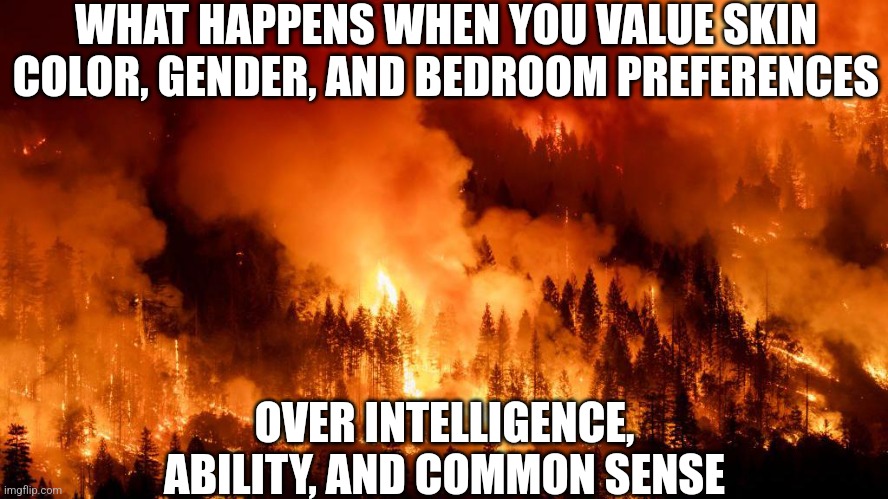 California is vividly demonstrating why DEI literally kills people..... | WHAT HAPPENS WHEN YOU VALUE SKIN COLOR, GENDER, AND BEDROOM PREFERENCES; OVER INTELLIGENCE, ABILITY, AND COMMON SENSE | image tagged in liberals,california fires,i'm surrounded by idiots,bad idea,liberal logic,reality check | made w/ Imgflip meme maker