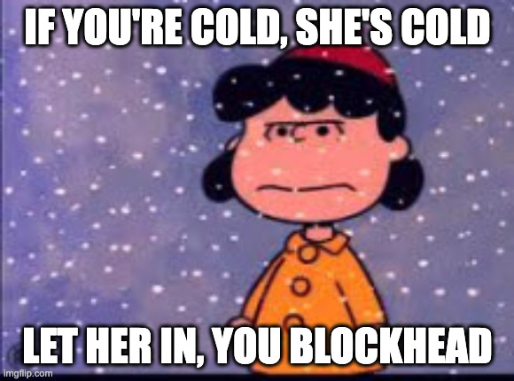 If You're Cold They're Cold -- Lucy from Peanuts | IF YOU'RE COLD, SHE'S COLD; LET HER IN, YOU BLOCKHEAD | image tagged in let them in,peanuts,charlie brown,lucy van pelt,cold weather | made w/ Imgflip meme maker