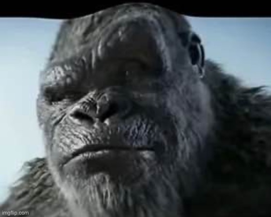 Kong eyebrow | image tagged in kong eyebrow | made w/ Imgflip meme maker