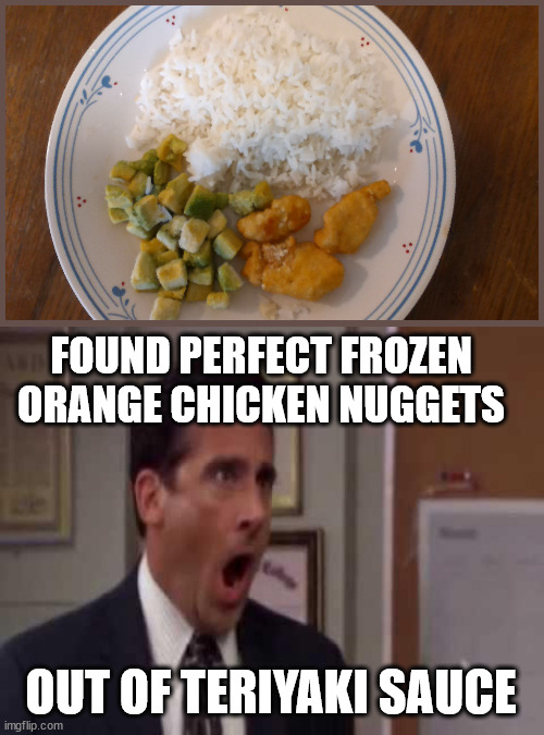 that day when your father's success at instructing you on a well stocked cupboard... | FOUND PERFECT FROZEN ORANGE CHICKEN NUGGETS; OUT OF TERIYAKI SAUCE | image tagged in no god no god please no | made w/ Imgflip meme maker