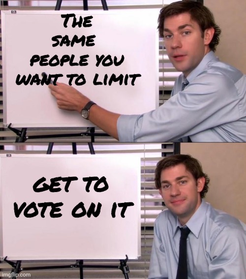 Jim Halpert Explains | The same 
people you
 want to limit get to vote on it | image tagged in jim halpert explains | made w/ Imgflip meme maker