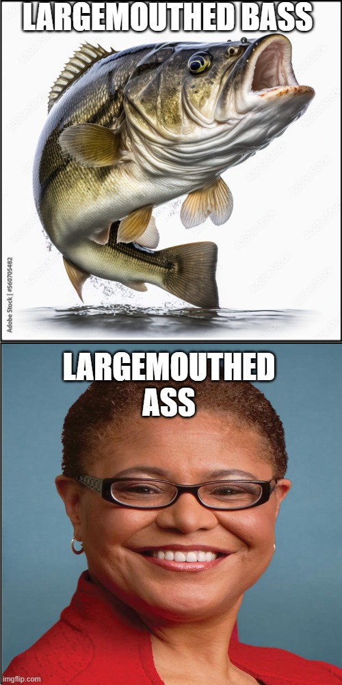 Karen Bass is an ass!! | LARGEMOUTHED BASS; LARGEMOUTHED ASS | image tagged in california fires,wildfires,democrats,communist,mayor,los angeles | made w/ Imgflip meme maker