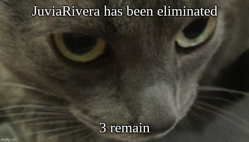 Sweetie | JuviaRivera has been eliminated; 3 remain | image tagged in sweetie | made w/ Imgflip meme maker