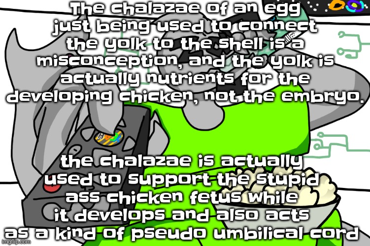 Zap watching TV | The chalazae of an egg just being used to connect the yolk to the shell is a misconception, and the yolk is actually nutrients for the developing chicken, not the embryo. the chalazae is actually used to support the stupid ass chicken fetus while it develops and also acts as a kind of pseudo umbilical cord | image tagged in zap waching tv | made w/ Imgflip meme maker