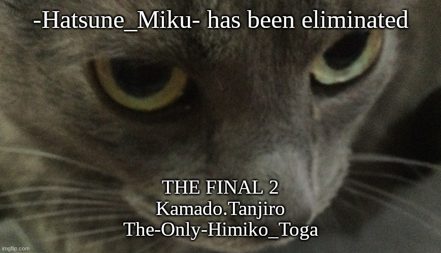 Sweetie | -Hatsune_Miku- has been eliminated; THE FINAL 2
Kamado.Tanjiro
The-Only-Himiko_Toga | image tagged in sweetie | made w/ Imgflip meme maker