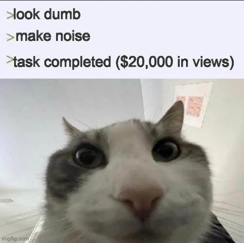 Cat looks inside | look dumb; make noise; task completed ($20,000 in views) | image tagged in cat looks inside | made w/ Imgflip meme maker