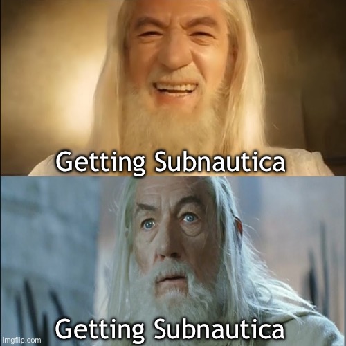 I am both equally thrilled and terrified | Getting Subnautica; Getting Subnautica | image tagged in gandalf | made w/ Imgflip meme maker