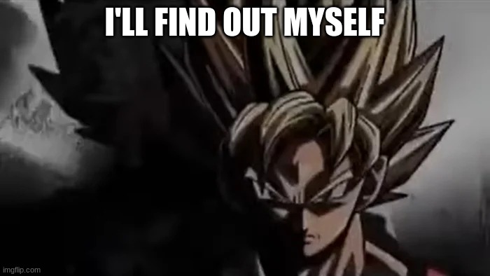 Goku Staring | I'LL FIND OUT MYSELF | image tagged in goku staring | made w/ Imgflip meme maker