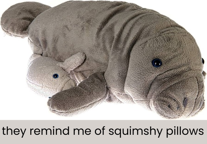 they remind me of squimshy pillows | made w/ Imgflip meme maker