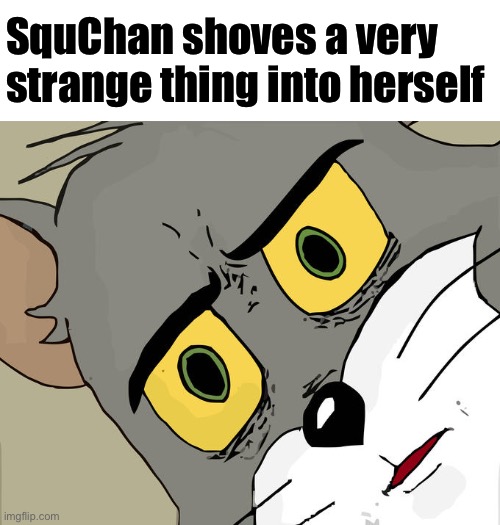 WHAT? | SquChan shoves a very strange thing into herself | image tagged in unsettled tom | made w/ Imgflip meme maker