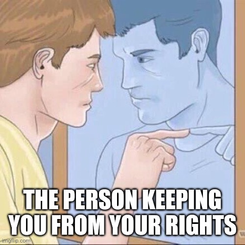 Pointing mirror guy | THE PERSON KEEPING YOU FROM YOUR RIGHTS | image tagged in pointing mirror guy | made w/ Imgflip meme maker