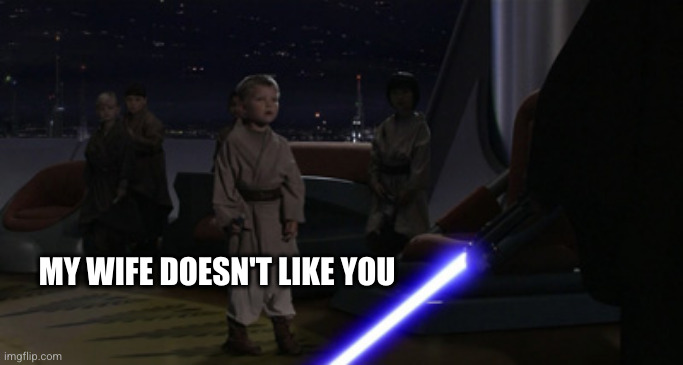 Anakin Kills Younglings | MY WIFE DOESN'T LIKE YOU | image tagged in anakin kills younglings | made w/ Imgflip meme maker