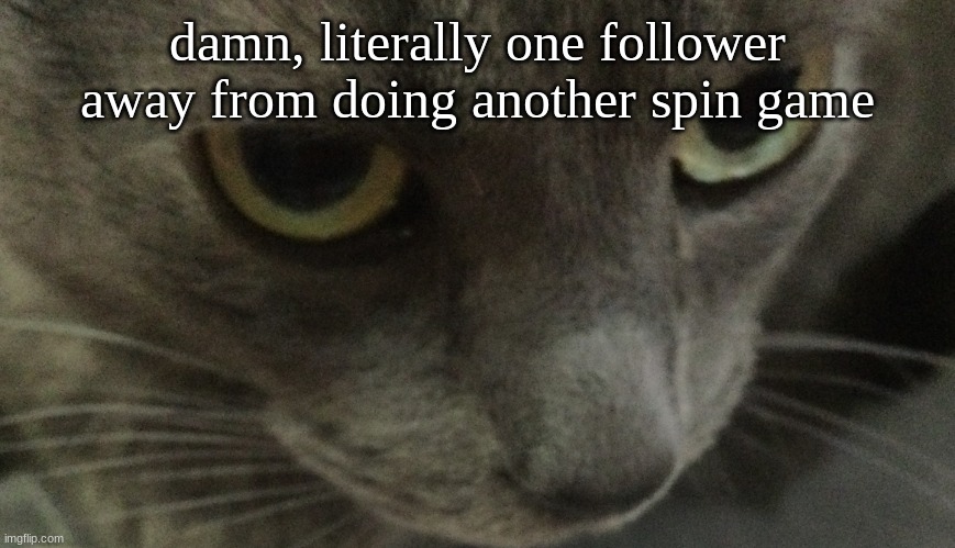 y'all want it bad huh? | damn, literally one follower away from doing another spin game | image tagged in sweetie | made w/ Imgflip meme maker