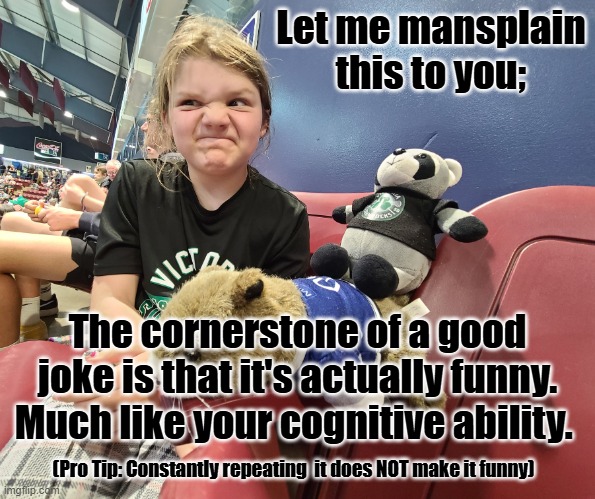 Jokes | Let me mansplain this to you;; The cornerstone of a good joke is that it's actually funny. Much like your cognitive ability. (Pro Tip: Constantly repeating  it does NOT make it funny) | image tagged in you stink,joke,funny,not funny,51st state,canada | made w/ Imgflip meme maker